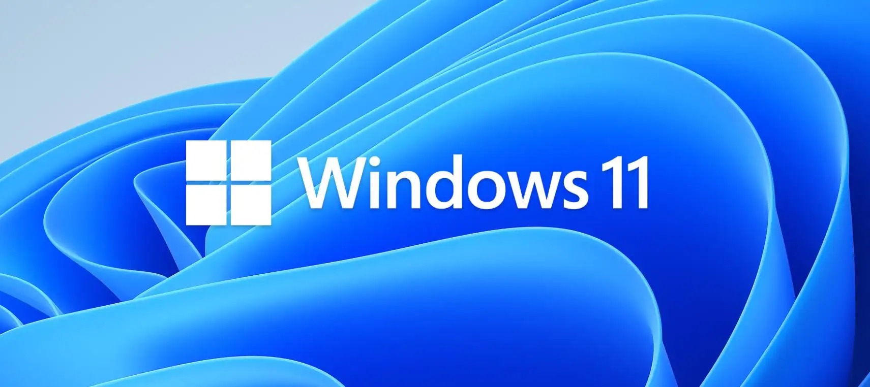 Windows11 22000.613小修专业版（windows11专业版安装）-刀鱼资讯