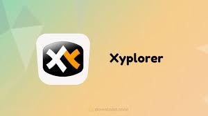 win11系统XYplorer输入中文乱码问题解决方案